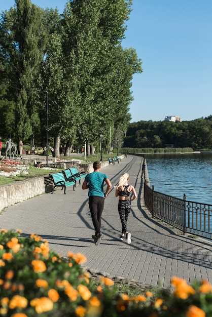 Описание и особенности природного уголка